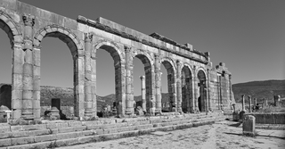 Volubilis    |   4  /  4    | 
